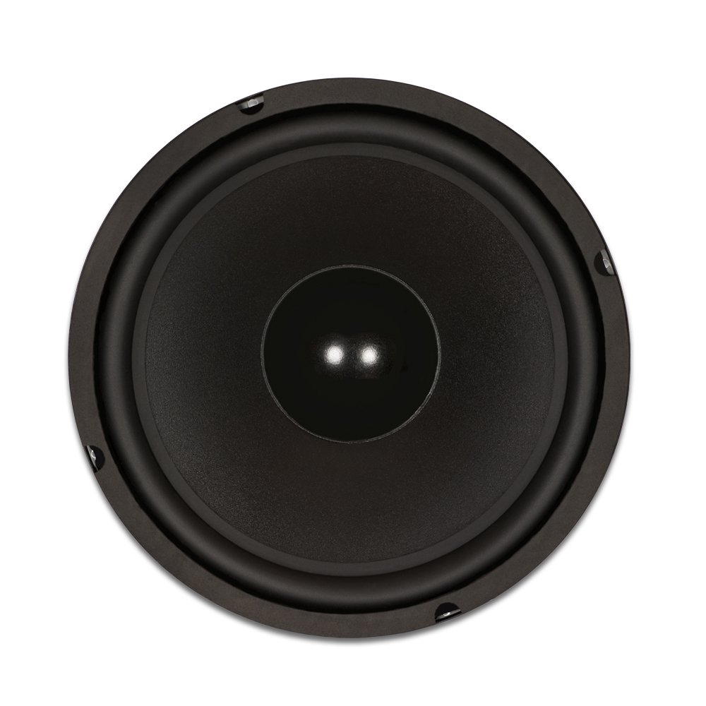Goldwood Sound GW-1038 Rubber Surround 10" Woofer 250 Watts 8ohm Replacement Speaker 3