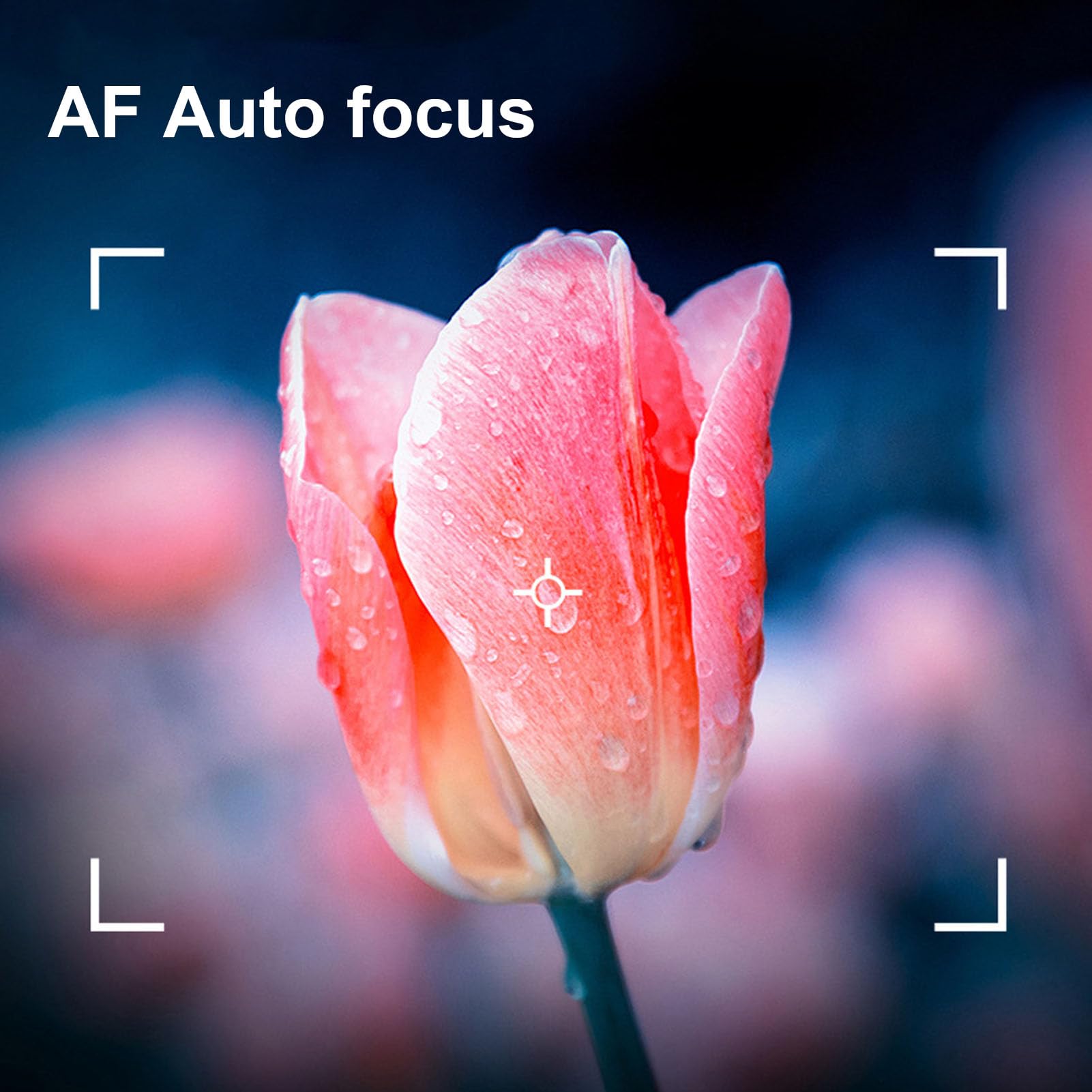 Asixxsix 4K 48MP Digital Camera, 2. Screen 16X Optical Zoom Anti Shake Retro Vlogging Camera with Flash Viewfinder Dial Compact Point and Shoot Cameras for Teens 5